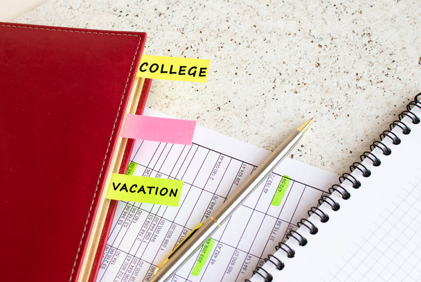 Un diario d'affari con schede colorate con iscrizioni si trova sui grafici finanziari sulla scrivania dell'ufficio. - Foto, immagini