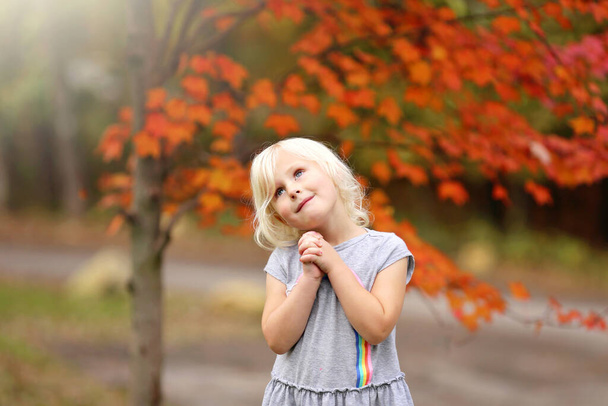 Una dolce bambina dai capelli biondi sta pregando mentre alza lo sguardo verso il cielo mentre è in piedi sotto un albero d'acero che cade. - Foto, immagini