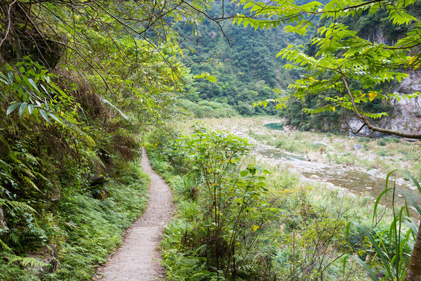 Hualien, Taiwan - helmikuu 26 2020 - Shakadang Trail (Mysterious Valley Trail). kuuluisa turisti paikalla Taroko National Park, Xiulin, Hualien, Taiwan. - Valokuva, kuva