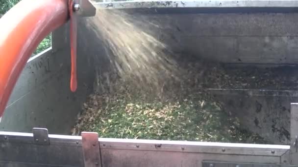 Een chipping machine blaast hout chippings in een vrachtwagen. - Video