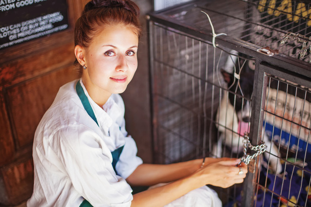 Woman in animal shelter - Foto, imagen