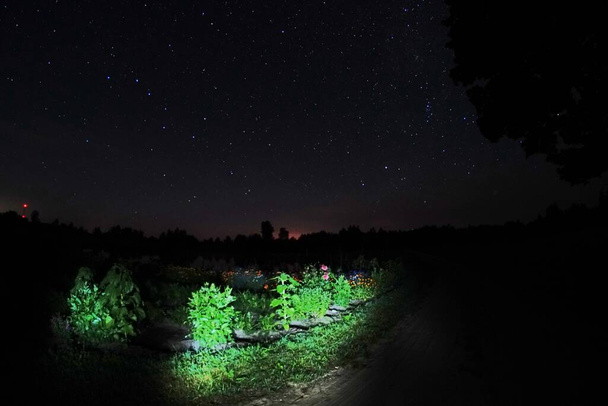 Cielo azul oscuro con muchas estrellas. Cielo nocturno sobre paisaje rural. Alto paisaje ISO con lente de ojo de pez - Foto, Imagen