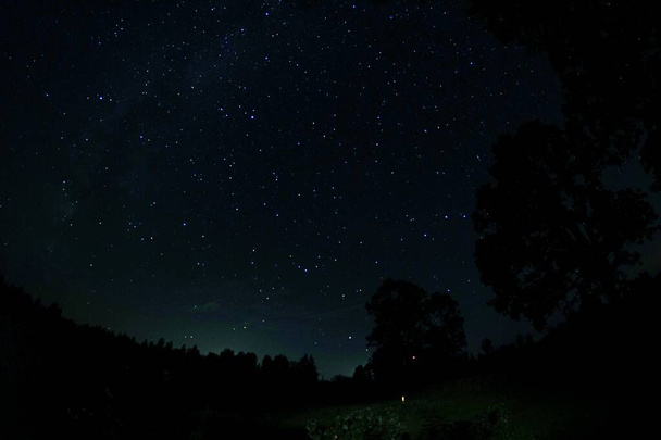 夜の森の中で星が輝く夜空 ロイヤリティフリー写真 画像素材