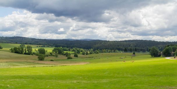 Idyllic scenery around the Bavarian Forest at early summer time - Foto, Bild