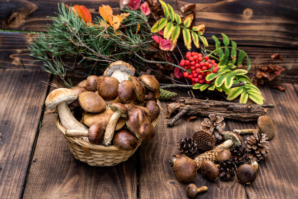 Mushroom Boletus over Wooden Background. Autumn Mushrooms. Boletus over Wooden Background, close up on wood rustic table. Cooking delicious organic mushroom.Mushroom season.Top view. - Foto, immagini