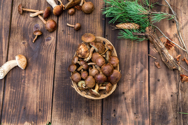 Waldpilze pflücken im Korb von oben. Frische rohe Pilze auf dem Tisch. Pilze auf Holztisch. - Foto, Bild