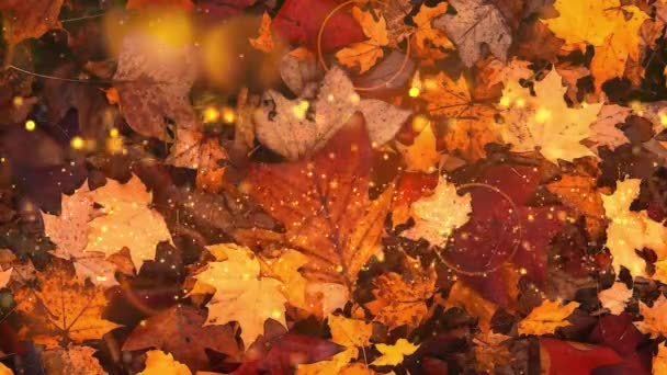 Abstrakter Herbst Hintergrund mit orangefarbenen Blättern - Filmmaterial, Video
