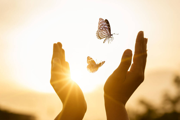 Kız kelebeği özgür kılar özgürlük kavramını - Fotoğraf, Görsel