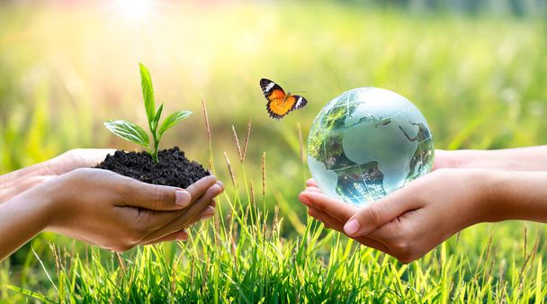 Концепция Сохранить мир спасти окружающую среду Мир находится в траве зеленый фон боке - Фото, изображение