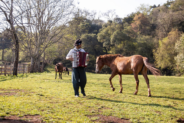 Гаучо играет на гармошке среди лошадей. - Фото, изображение