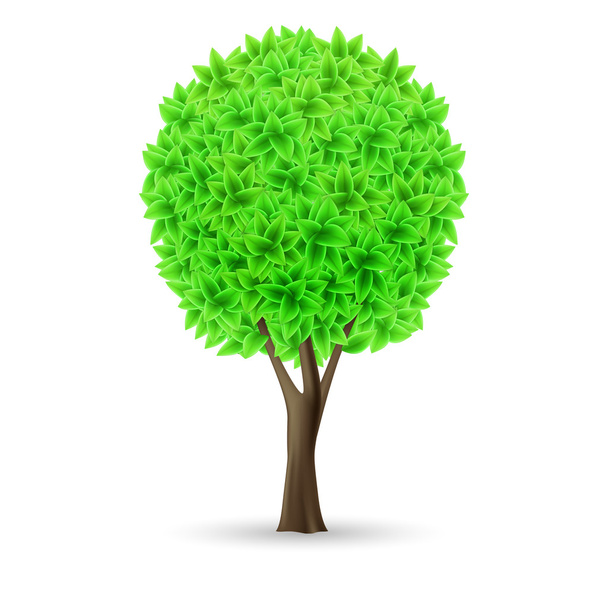 Green tree - Vector, Image