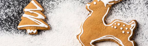 Panoramic shot of gingerbread cookies decorated with sugar powder - Photo, Image