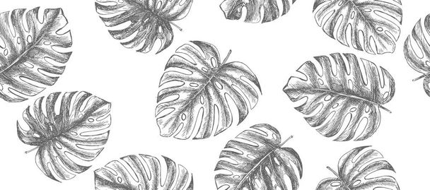 Tropical leaves hand drawn - Vector, Image