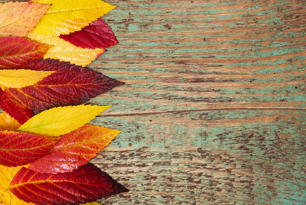 Autumn leaves over wooden background with copy space - Foto, Imagen