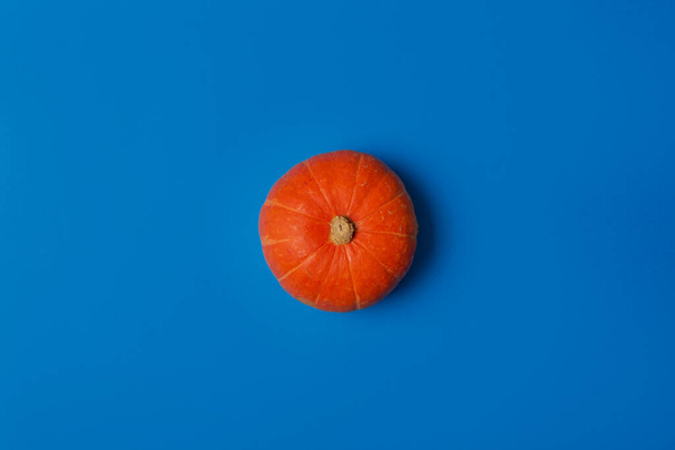 Orange pumpkin on a bright blue background. Flat lay in a minimal style - Zdjęcie, obraz