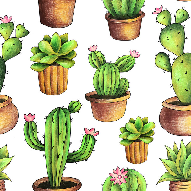 seamless pattern on white background cactus in a pot, drawing hand-colored pencils, sketch illustration - Photo, Image