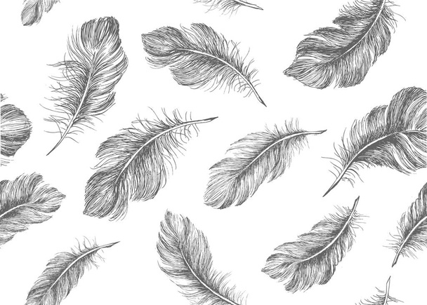 Feather Pattern hand drawn - Vektor, Bild
