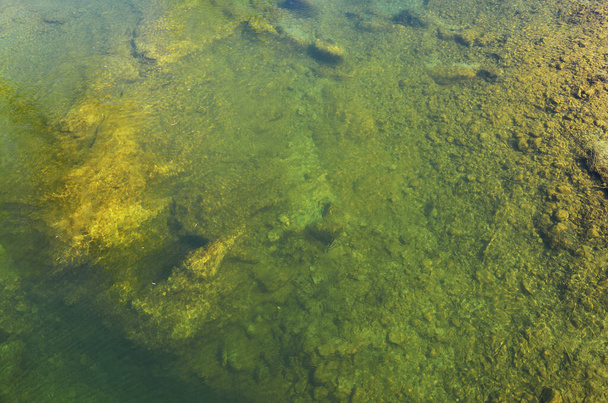Rzeka przezroczysta woda z widocznym kamienistym dnem jako abstrakcyjne tło - Zdjęcie, obraz