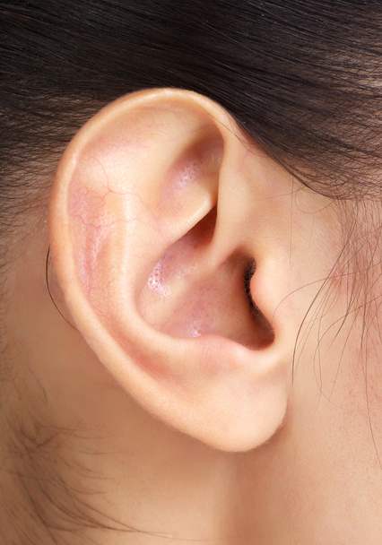Жіночий вухо
 - Фото, зображення