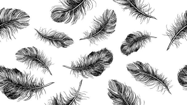 Hand drawn feather on white background. - Vector, Imagen