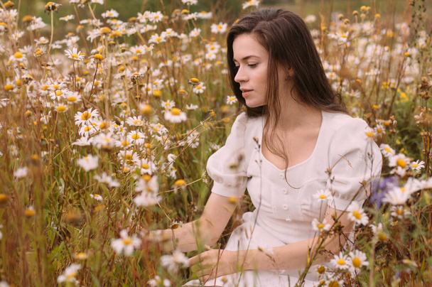 Giovane bella ragazza in abito bianco raccogliere fiori in campo di camomilla in estate - Foto, immagini