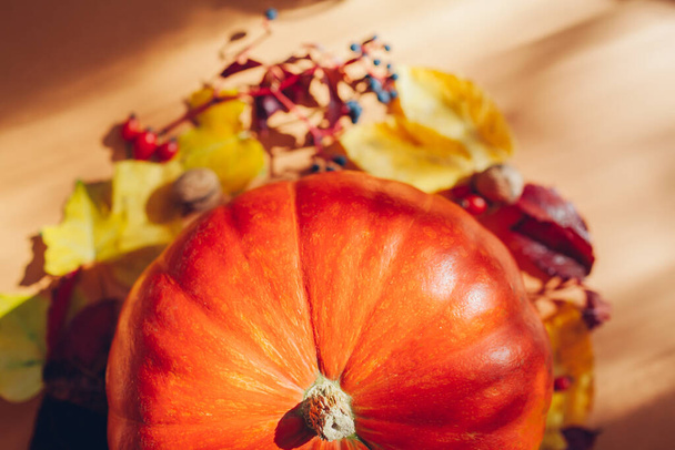 Fondo de cosecha de otoño. Calabaza naranja rodeada de hojas y bayas rojas y amarillas. Temporada de otoño flatlay - Foto, Imagen