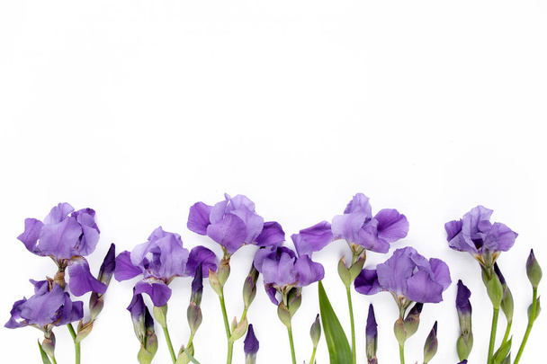 purple iris flowers bouquet on white background. Flat lay, top view - Zdjęcie, obraz