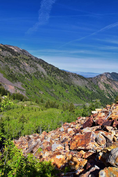 Lake Blanche forest and mountain landscape views from trail. Wasatch Front Rocky Mountains, Twin Peaks Wilderness,  Wasatch National Forest in Big Cottonwood Canyon in Salt Lake County Utah. United States. - Photo, Image