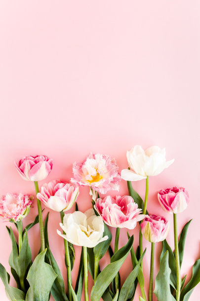 Pink tulips on pink background. Minimal floral concept greeting card. Flat lay, top view.  - Foto, immagini