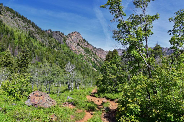 Lake Blanche forest and mountain landscape views from trail. Wasatch Front Rocky Mountains, Twin Peaks Wilderness,  Wasatch National Forest in Big Cottonwood Canyon in Salt Lake County Utah. United States. - Photo, Image