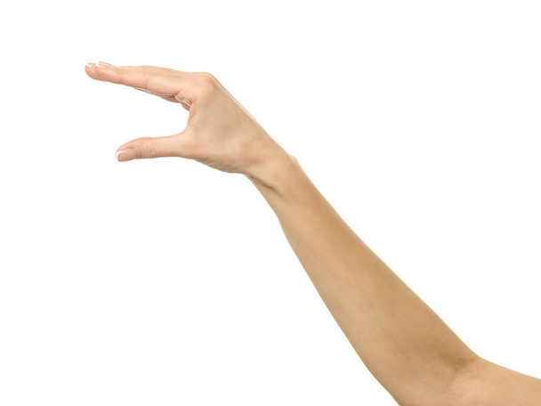 Hand picking, holding, grabbing or reaching. Woman hand with french manicure gesturing isolated on white background. Part of series - Φωτογραφία, εικόνα