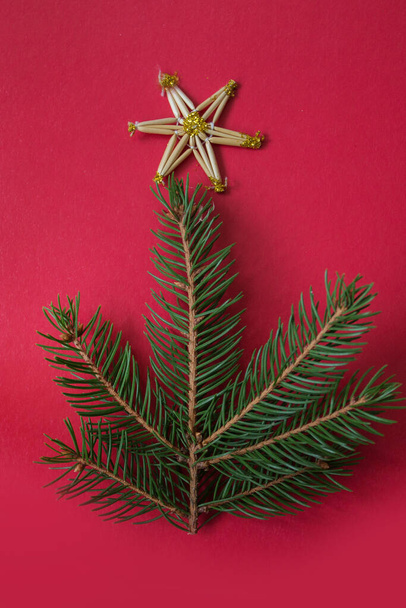 Christmas tree with straw Star on top on red background - 写真・画像