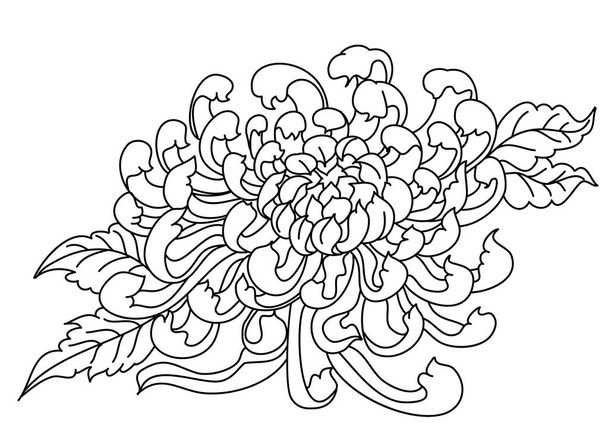 Ilustración vectorial de crisantemo dorado para el estilo de tatuaje. - Vector, Imagen