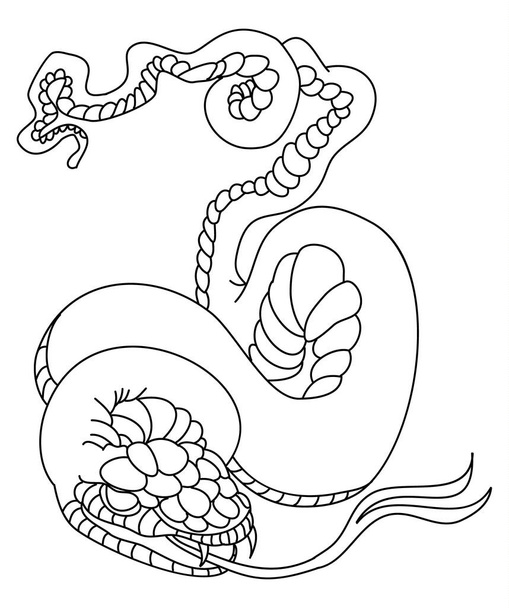 Outline of snake vector. Hand drawn cobra isolate on white background - Vector, Image
