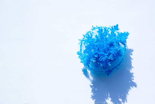 青い化学結晶が形成されます。水を蒸発させることによって形成されます。青い塩結晶手で作られた。子供の創造性と科学 - 写真・画像