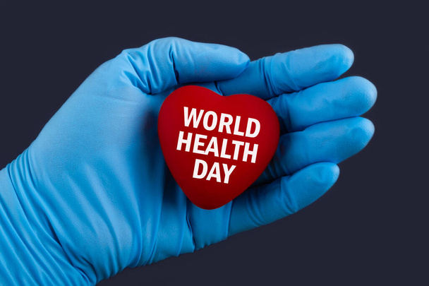Doctor in blue gloves holds a heart with text World health day, concept. - 写真・画像