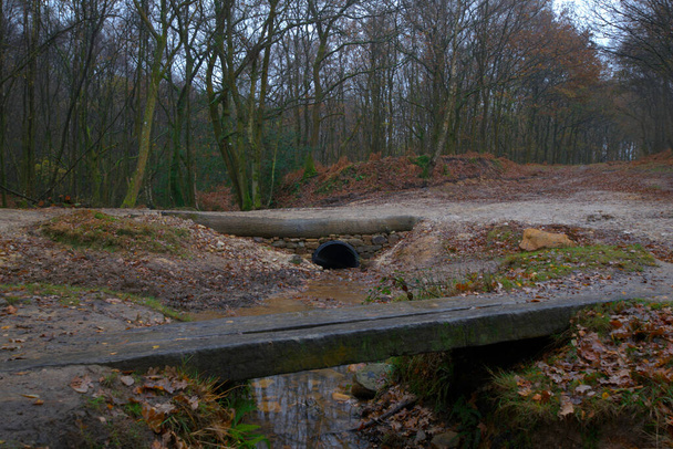 Erdei jelenet kis fából készült gyaloghíddal előtérben és nagyobb gyaloghíddal vízelvezető csővel a háttérben - Fotó, kép