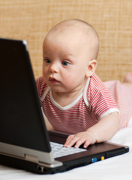 Baby playing with a laptop - Zdjęcie, obraz