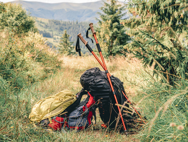 Trekking sticks and backpacks on mountain - Zdjęcie, obraz