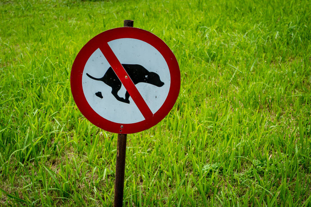 Parkta köpek dışkısı tabelasına izin yok. - Fotoğraf, Görsel