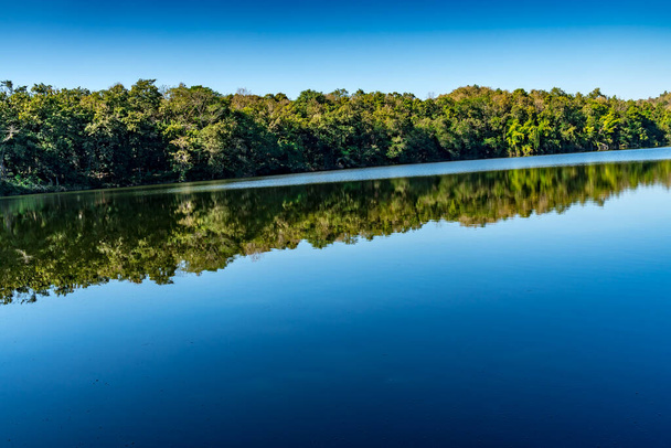See mit grünem Wald auf blauem Himmel Hintergrund - Foto, Bild