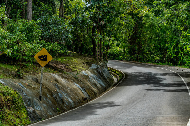 Nahoru Příkrý kopec dopravní značka s asfaltovou cestou - Fotografie, Obrázek
