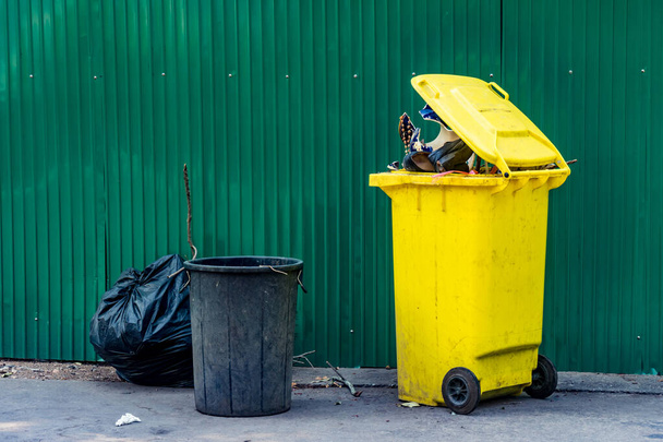 Żółto-czarny plastikowy kosz na śmieci z zieloną blachą płotką na betonowej drodze - Zdjęcie, obraz