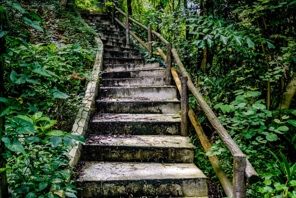Aged Concrete staircase in the park - 写真・画像