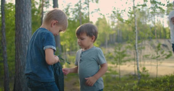 Deux petits garçons dans les bois aident à mettre en place une tente au ralenti - Séquence, vidéo