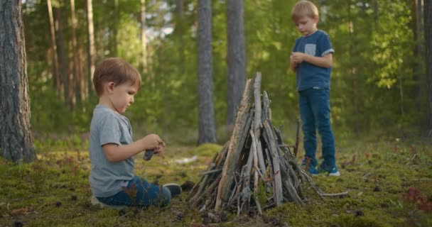 Twee jongens staken stokken in een vuur in het bos tijdens een wandeling. Jongens in het bos bereiden zich voor om vuur te maken en stokken in elkaar te steken.  - Video