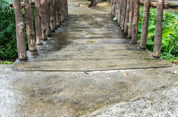 Polku ja pieni silta puistossa - Valokuva, kuva