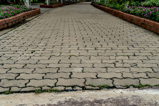 Chemin de blocs de béton dans le parc - Photo, image