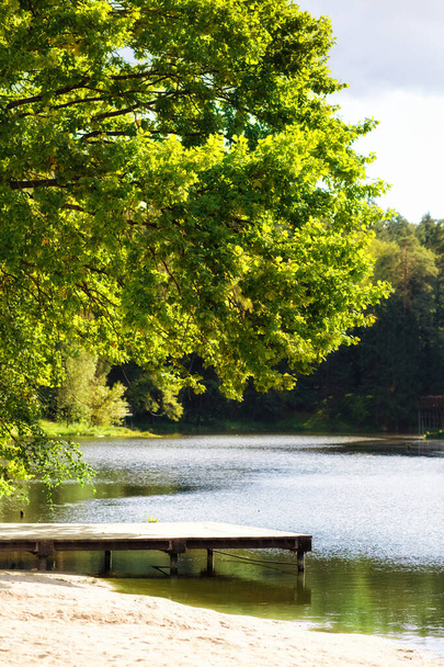 Kleine houten brug over het meer en in de buurt eiken- en dennenbomen bij zonnig weer - Foto, afbeelding