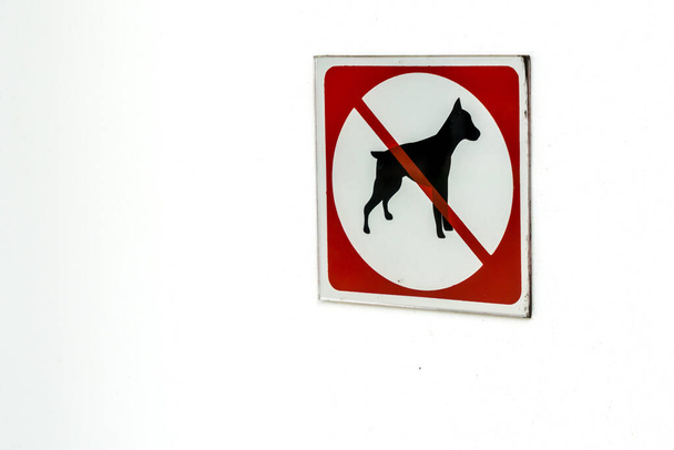 白いコンクリートの壁に犬はサインを許さなかった - 写真・画像